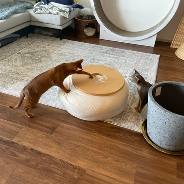 確かめたがりの探偵さん