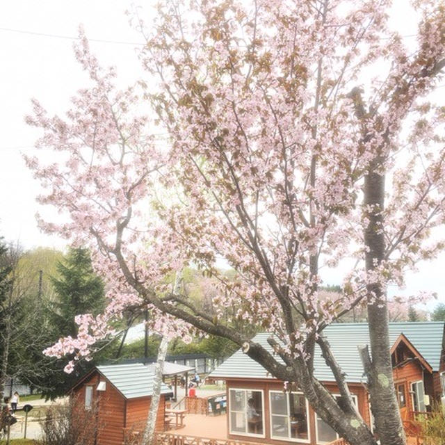 北海道〜♡