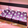 【実機レビュー】iDOO LED水耕栽培器（20株）初心者でも簡単に始められるクラッキー法の室内家庭菜園キット