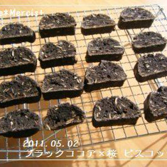 ブラックココア★ビスコッティ@BP