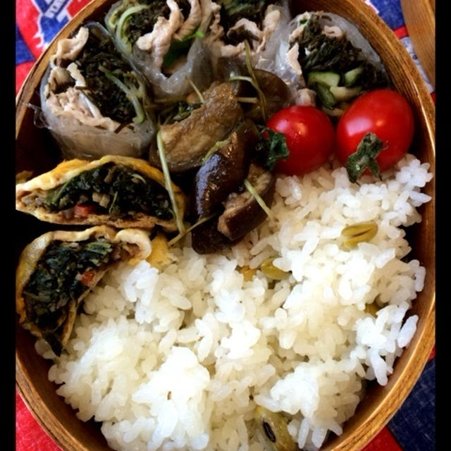 生春巻きのお弁当