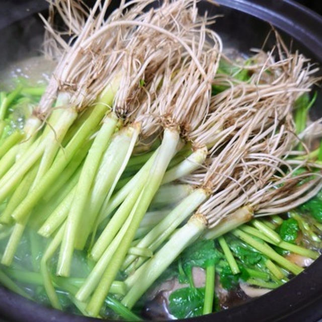 仙台せり鍋☆せりいっぱいせりメイン鍋はごちそう