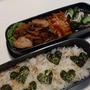 栄養ばっちり弁当 ２