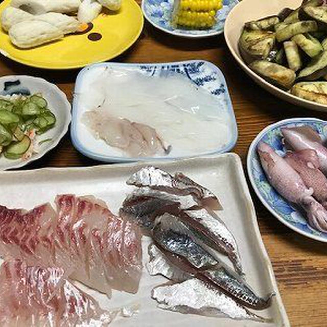 鯛と鯵と小イカの刺身などの晩ご飯