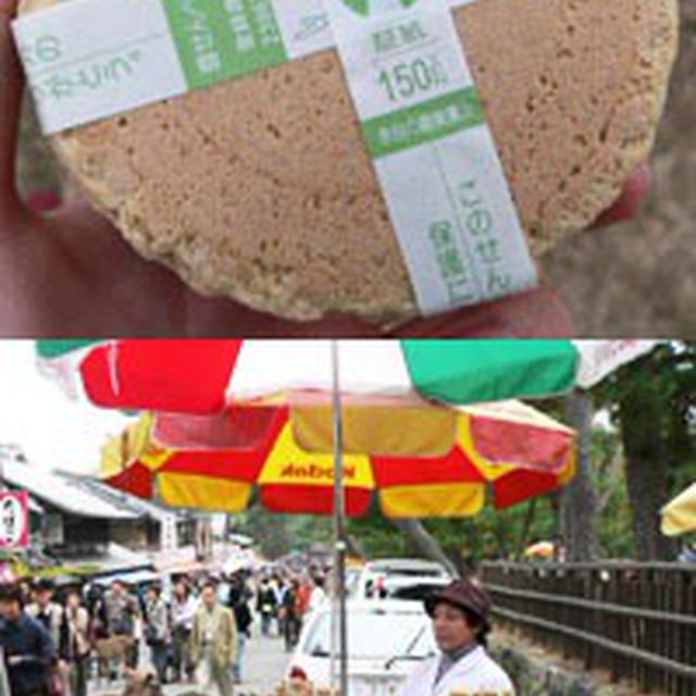 奈良公園の鹿はえらいっ！