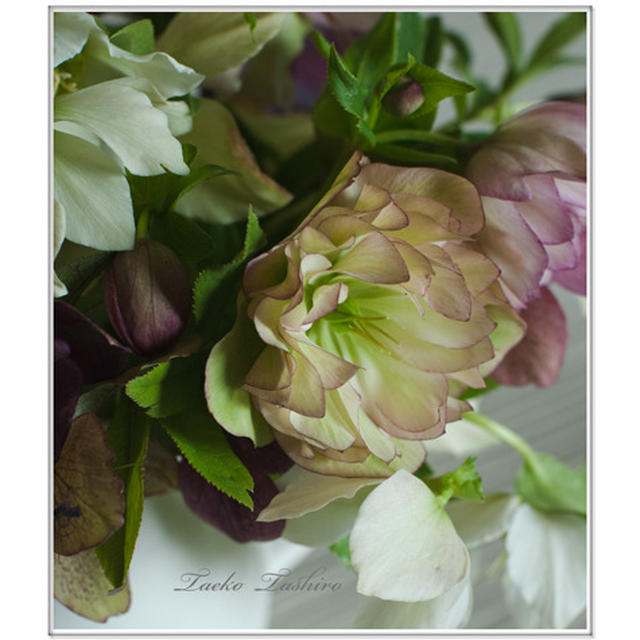 Photo lesson  2013.3.