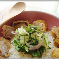のっけてジュレのさっぱりひれかつ丼♪