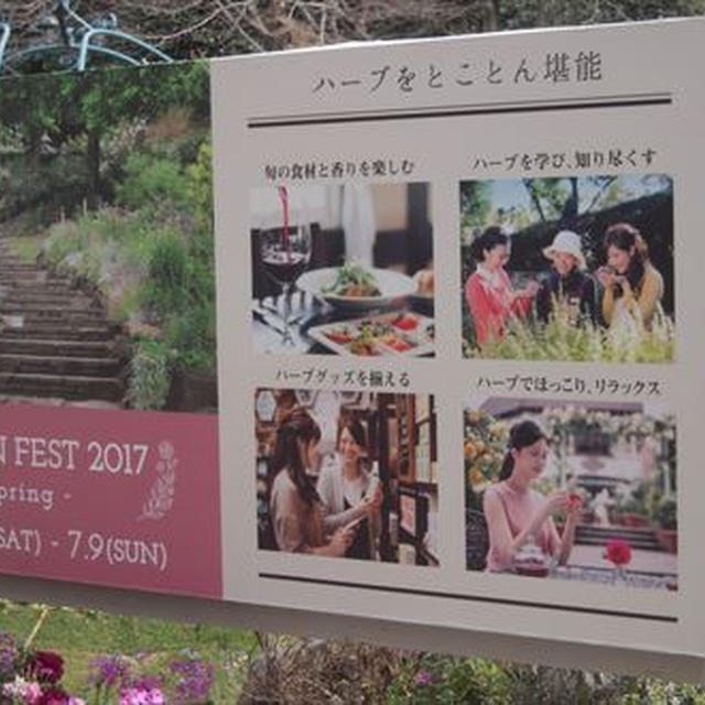 布引ハーブ園・種類豊富なハーブ