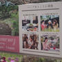 布引ハーブ園・種類豊富なハーブ