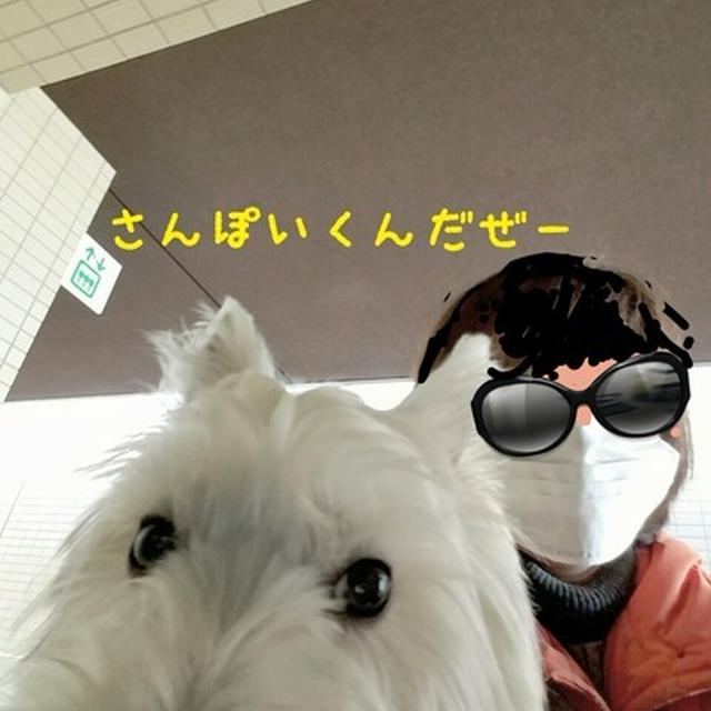 お散歩で町探索