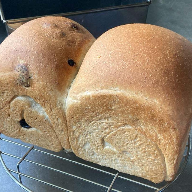 実家にパン土産♪