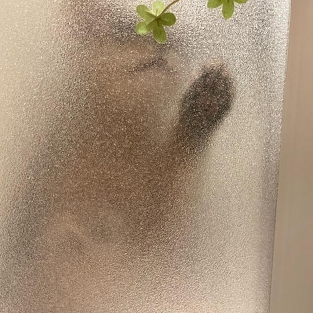 曇りガラス越しに首かしげてるから、扉を開けたらかわいいことになってた