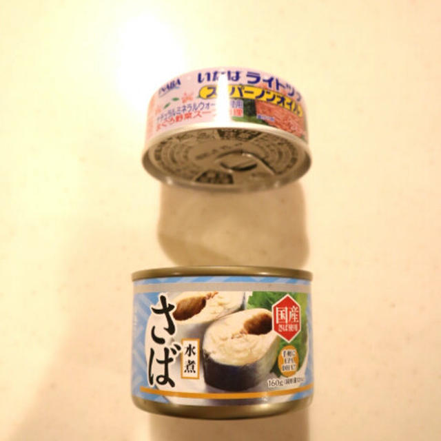 サバ缶とツナ缶しかなかった時のお弁当。