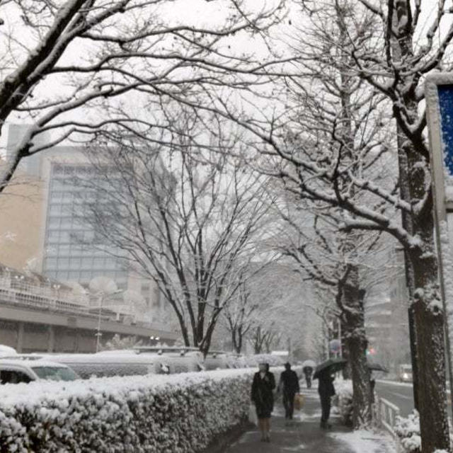 【コラム更新】関東の雪シーズンはこれからが本番!？