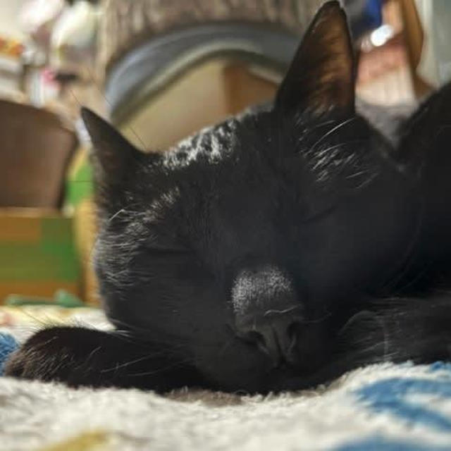 ぐっすりおやすみ♪