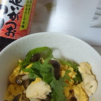 追いがつおで「親子う～丼」