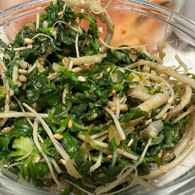 韓国で食べたナズナのナムルとハットグ♫南大門市場近くのチャリティショップへ