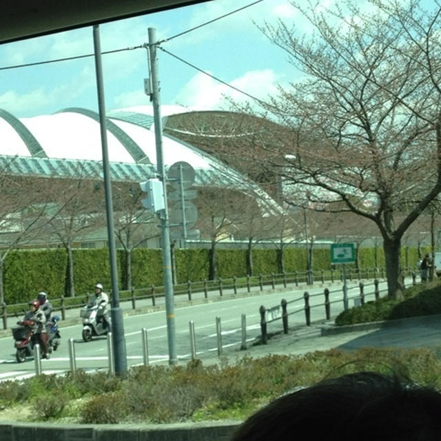 お天気サイコー！公園遊びにお馬さんもきて大はしゃぎ♪