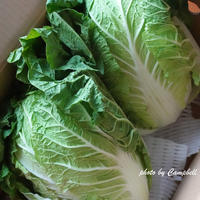 おおいたクッキングアンバサダー 〜豚肉と白菜の味噌煮込み