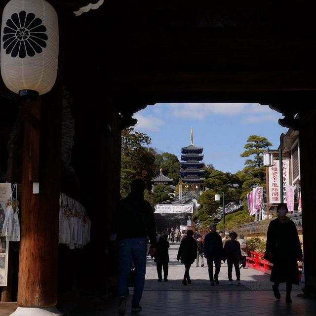 中山寺梅林#最近撮った写真は