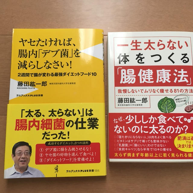 デブ菌に腸を占拠させないためには