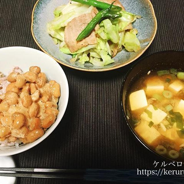 【一汁一菜】肉野菜炒め＆豆腐とネギの味噌汁