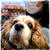お家ごはんlover (*`ڡ´●)♡