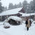 ぬくぬく　仲良しにゃんず☆今日の雪