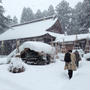 ぬくぬく　仲良しにゃんず☆今日の雪