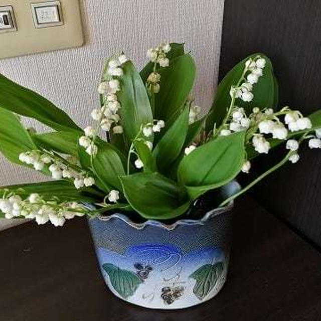 すずらんの日は終わったけど…