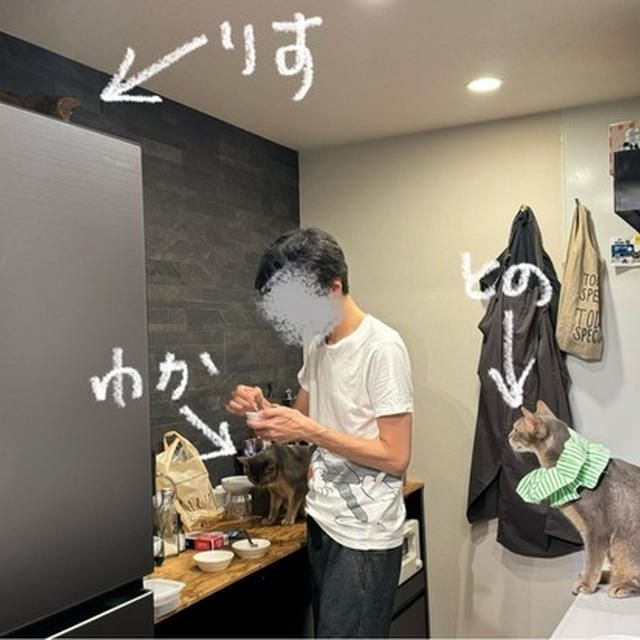 「待て」ができるワンコのような、わが家のニャンズ