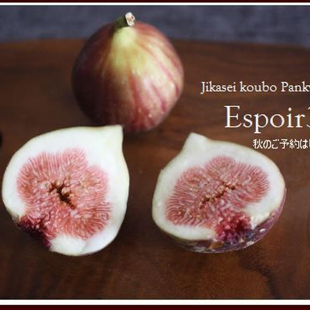 9月は、パンにあうビストロ料理。メニューのお知らせ。