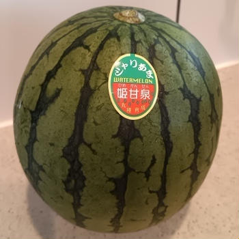 【シャリあま　スイカ】