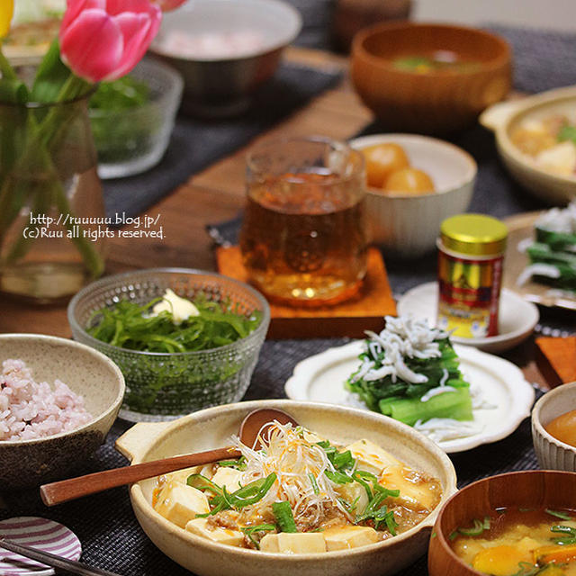 【献立】麻婆豆腐。～引きこもり生活で学んだこと～