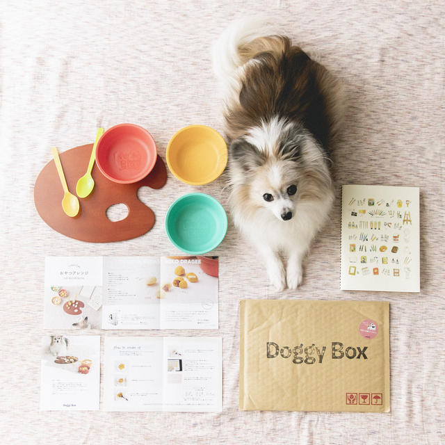 ジャーキーとボーロが同時に食べられるよくばり犬おやつレシピ（DoggyBox）