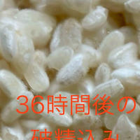 2024 志賀高原醗酵合宿参加者の声