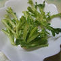 エコヘルスレシピ「春菊の茎のジュノベーゼ風パスタ」♪