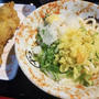 四国遠征？！⑪ 徳島だけどチェーン店だけどなかなか旨いうどん。