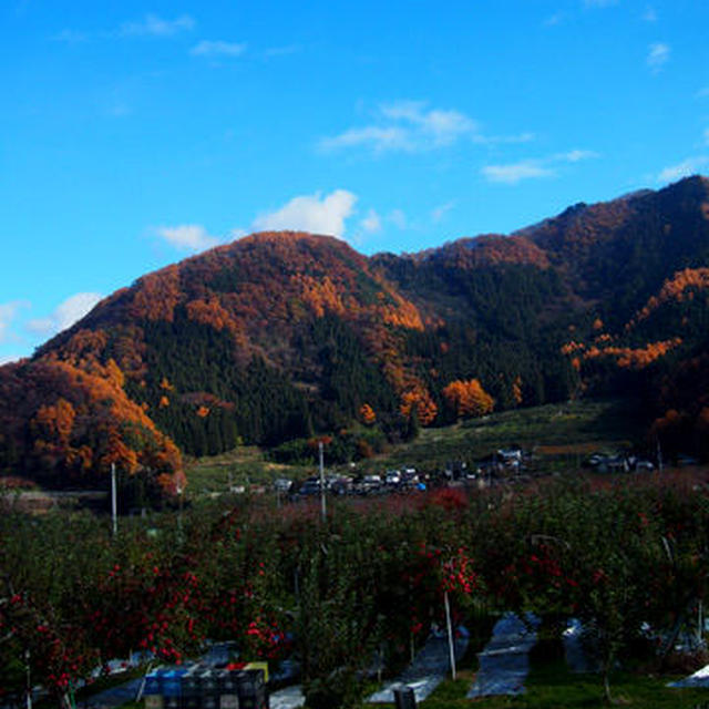 制限なし日本旅行2013年秋－長野編（３）