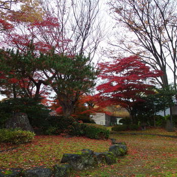 晩秋蔵王、染められて。～白き夢見し酔いもする 3日目 ③～