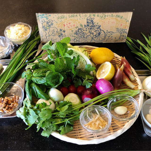 春の料理教室　「MARU FARM」さんの無農薬野菜を使って