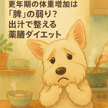 更年期の体重増加は脾の弱り？出汁で整える薬膳ダイエット