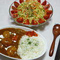 2011年5月16日（月）の晩ごはん。