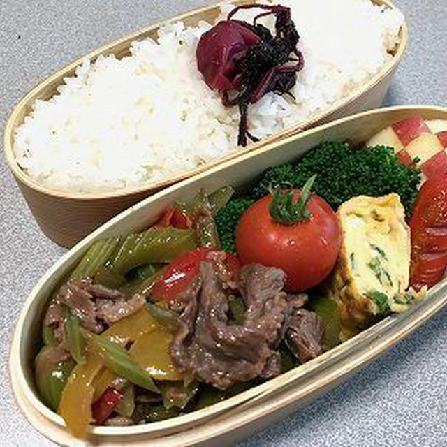 牛肉とセロリのオイスターソース炒め弁当。PCに乗るあんこ