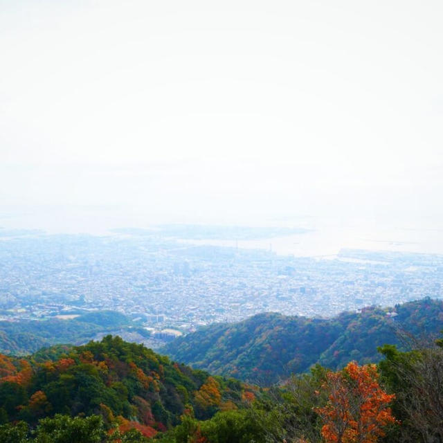 王子公園～青谷道～掬星台～六甲山牧場/ハイキングコース案内 / 写真付！