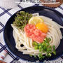 のせるだけ！冷やしたらこうどん
