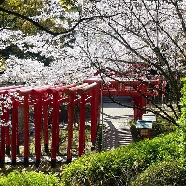 宮地嶽神社参拝後は、奥の宮八社巡り♪