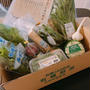 新鮮有機野菜が届きました！！　寺岡有機農場さん、ありがとうございます。