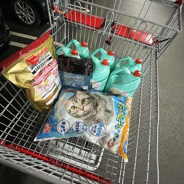 COSTCOで毎度のやつ