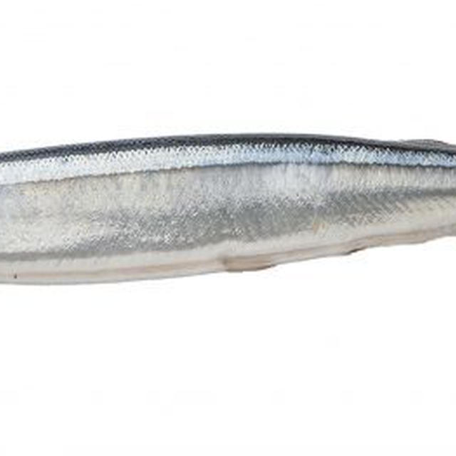 さんま 値段 サンマ 秋刀魚 1キロ平均1,133円 相場や旬の情報まとめ